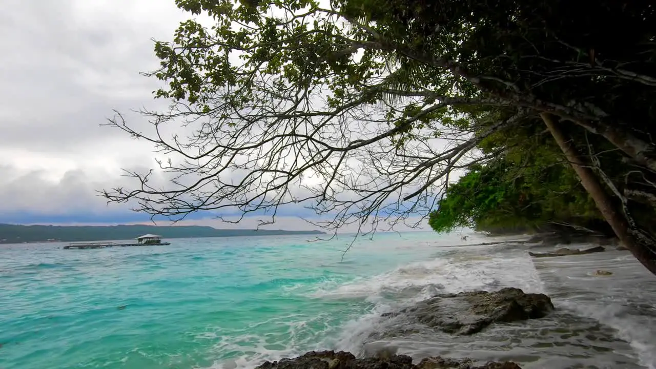 huge waves splashes into rocky shoreline under the tree