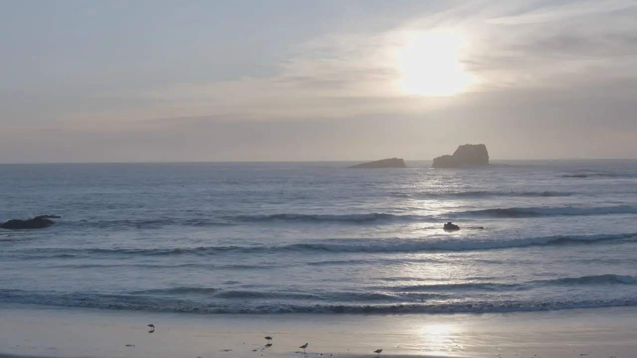 Sunset with seagulls flying around