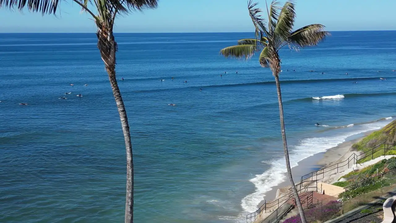 Drone shot panning up and over Palm Trees revealing Surfers surfing in Southern California on a beautiful winter day