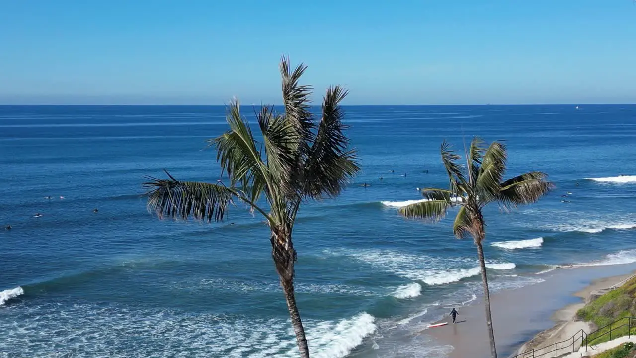 Drone shot panning up and over three palm trees to reveal surfers surfing on a beautiful winter day in Southern California