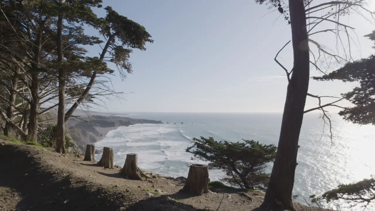 Stationary shot of trees and bushes along cliff side with waves crashing in the background located in Big Sur California