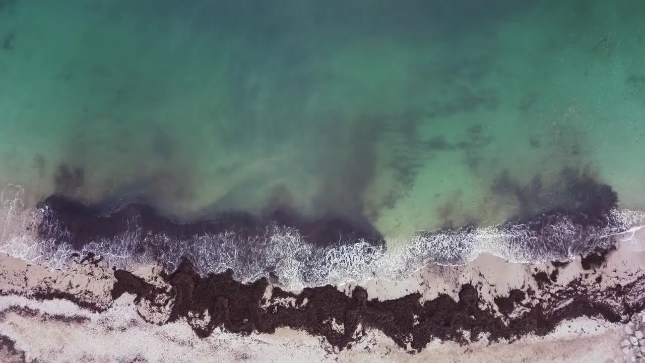 Shallow waves breaking onto seaweed filled beach