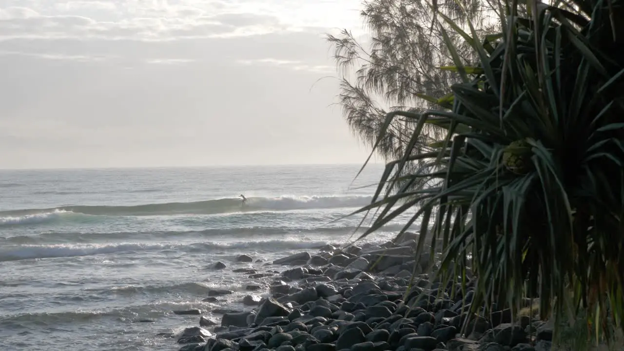 Tourist Surfer Performing A Stunt On Big Ocean Waves Burleigh Heads Beach During Summer In Gold Coast Queensland Australia