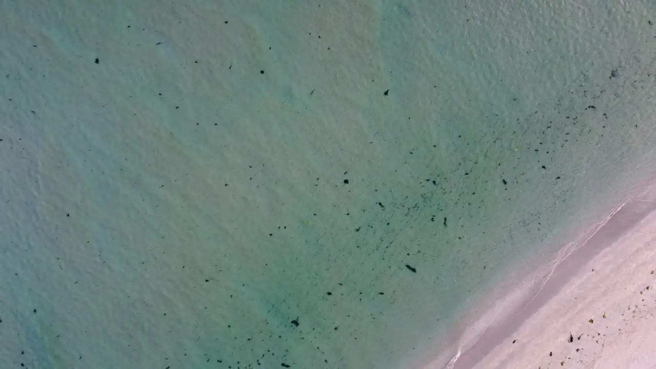 blue and calm water waves on white sand by drone