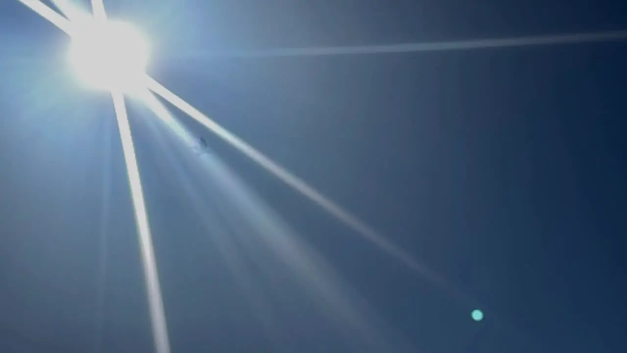 Pelican fly's through sun rays in on a beautiful day in Southern California