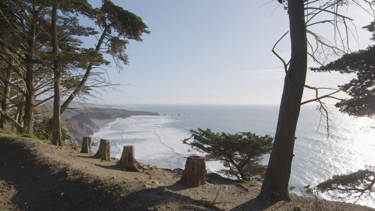 Stationary shot from pine tree lined mountain cliff overlooking the Pacific Ocean in the background located in Big Sur California