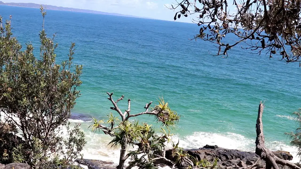 Waves splashing on a rocky beach and coastal plants in the foreground