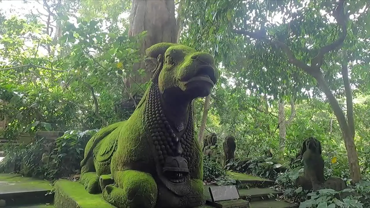 Divine Cow Stone Sculpture Covered in Moss at Monkey Forest in Ubud Bali Indonesia