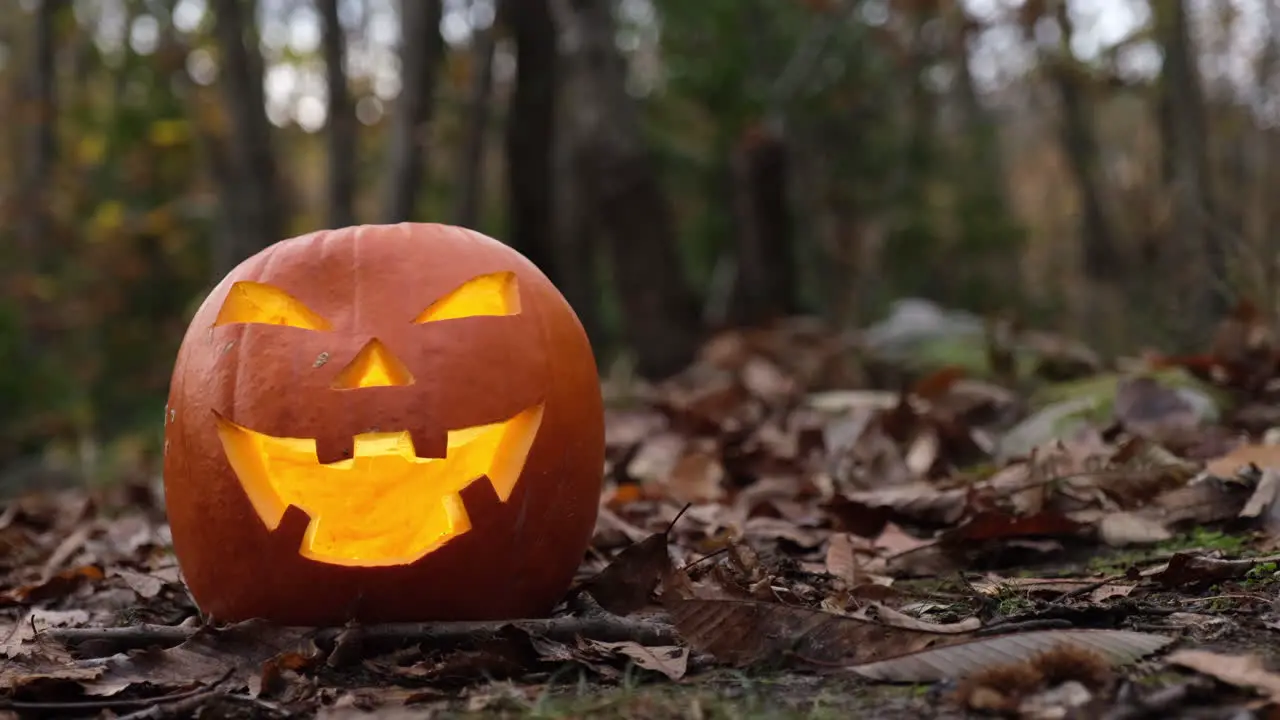 Spooky horror Halloween pumpkin in autumn forest