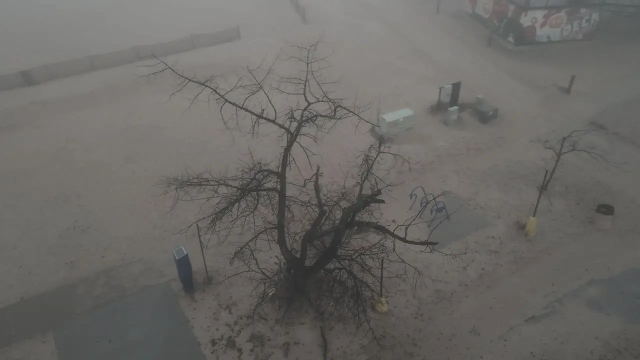 Rotating around a barren tree in late fall