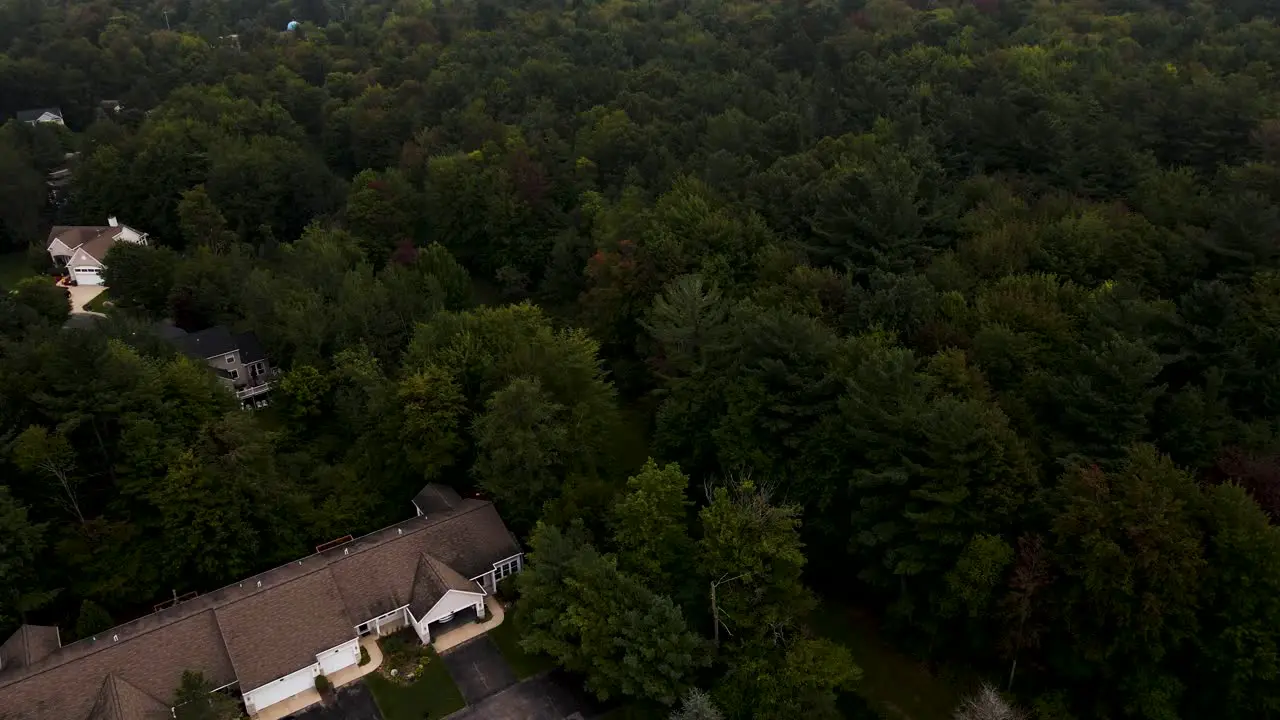 Lush trees including native pines over Muskegon