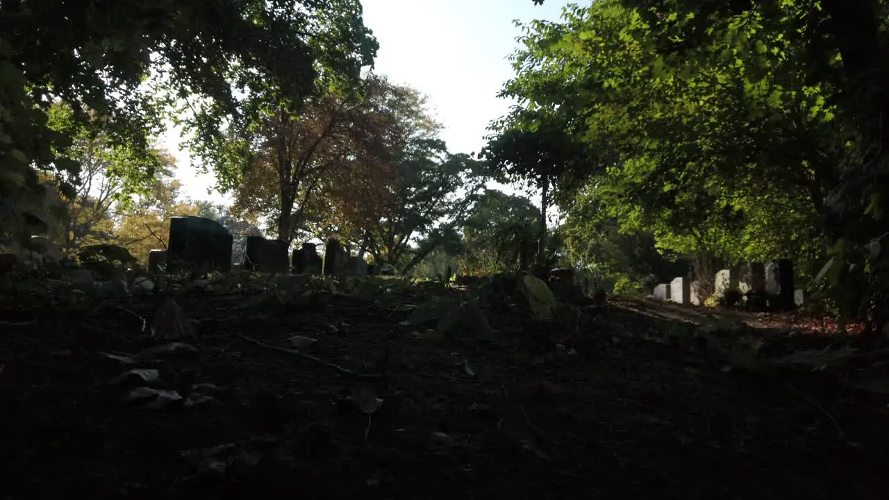 Wide day time establishing shot of tombstones in the park