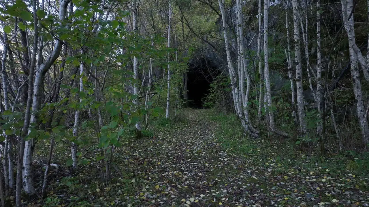 Nature reclaiming decommisioned railway from Bergen at Rodberg Norway