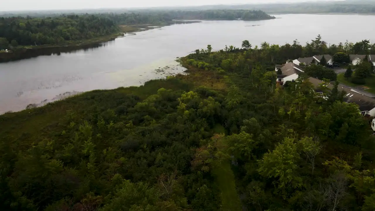 Gorgeous greens of lush trees near a lake in Muskegon