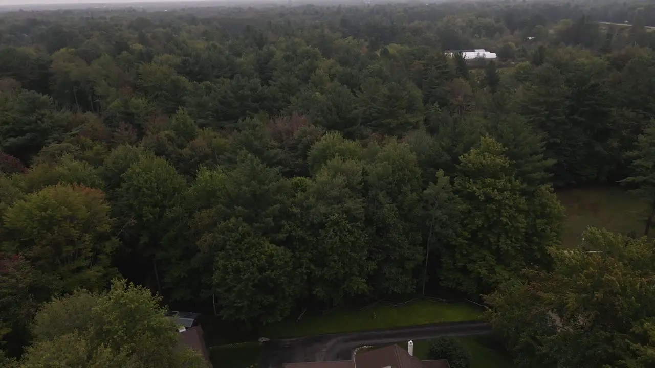 Aerial drone flight close to treetops over Muskegon