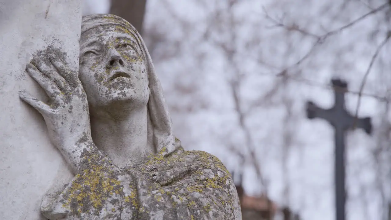 Old and Covered in Moss Stone Statue of Mother Mary Looking Up