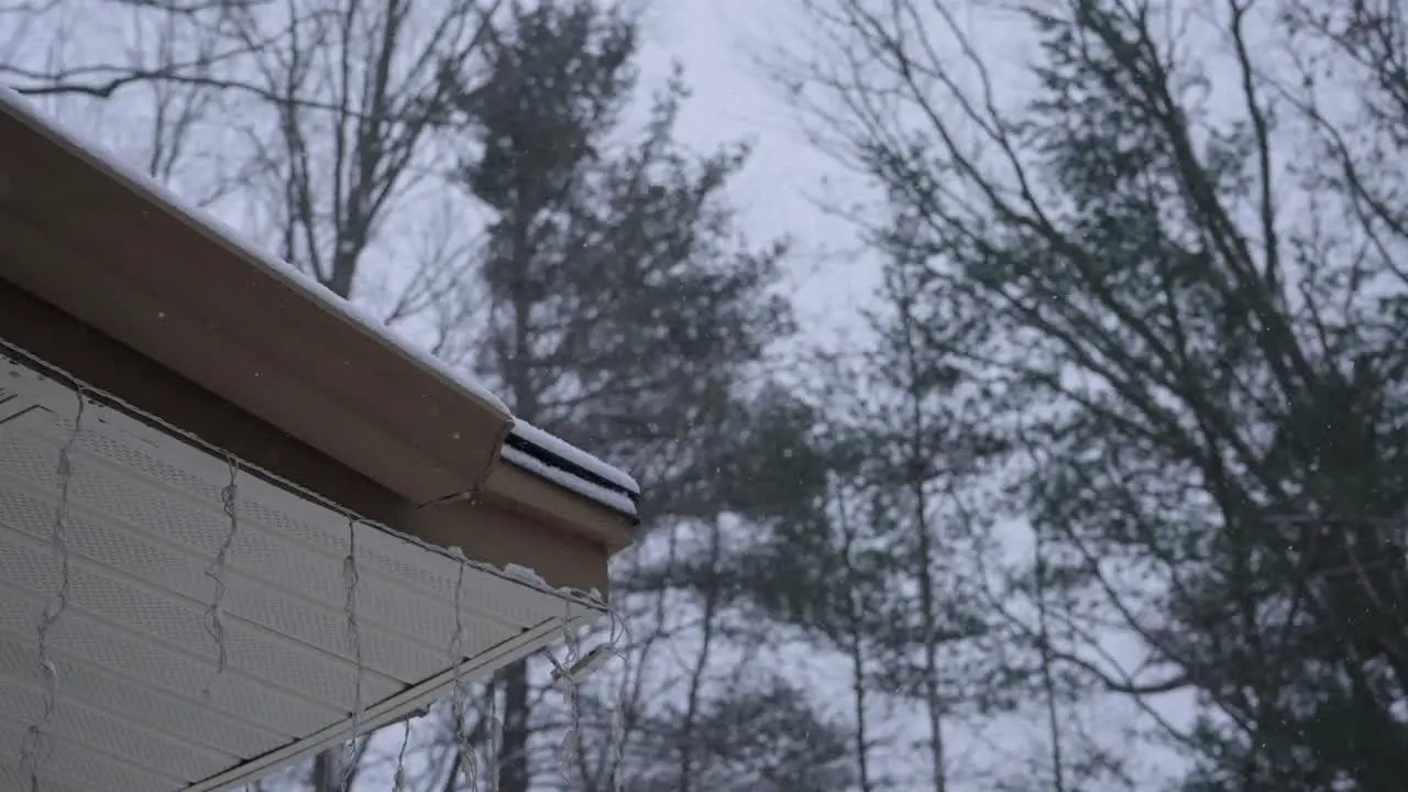 Ramping down to slow motion to watch the heavy flakes float down