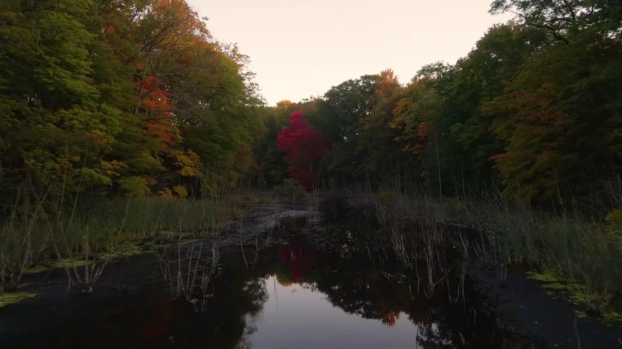 Low height track over a small creek in Muskegon during Autum