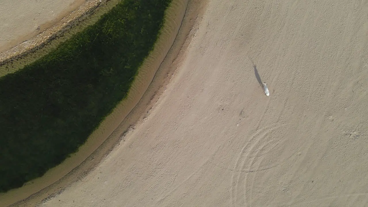 Drone camera closeup of the Moon Lake and Arabian oryx in Dubai Moon Shape Lake is in the middle of Al Qudra desert surrounded by golden sand dunes in the United Arab Emirates