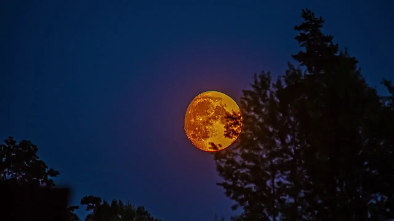 Time lapse of a waxing gibbous moon showing detail of craters on its bright surface crosses the sky