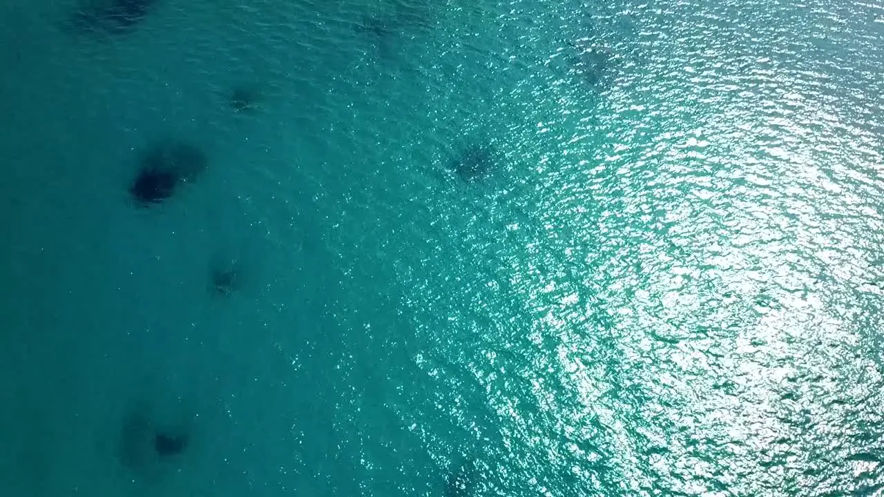 Aerial tilt up drone shot over a line separating turquoise aqua menthe lagoon water and darker teal colored sea on a sunny day in Maldives