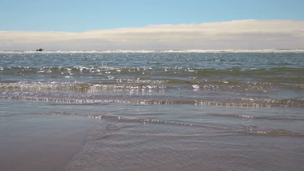 Seagull flies low over small waves breaking on Oregon Coast beach