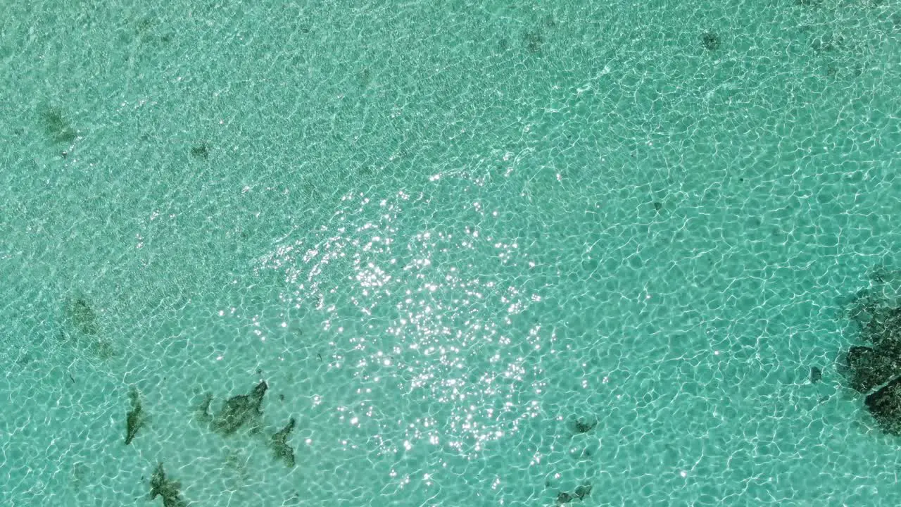 emerald ocean sea beach seychelles drone aerial view