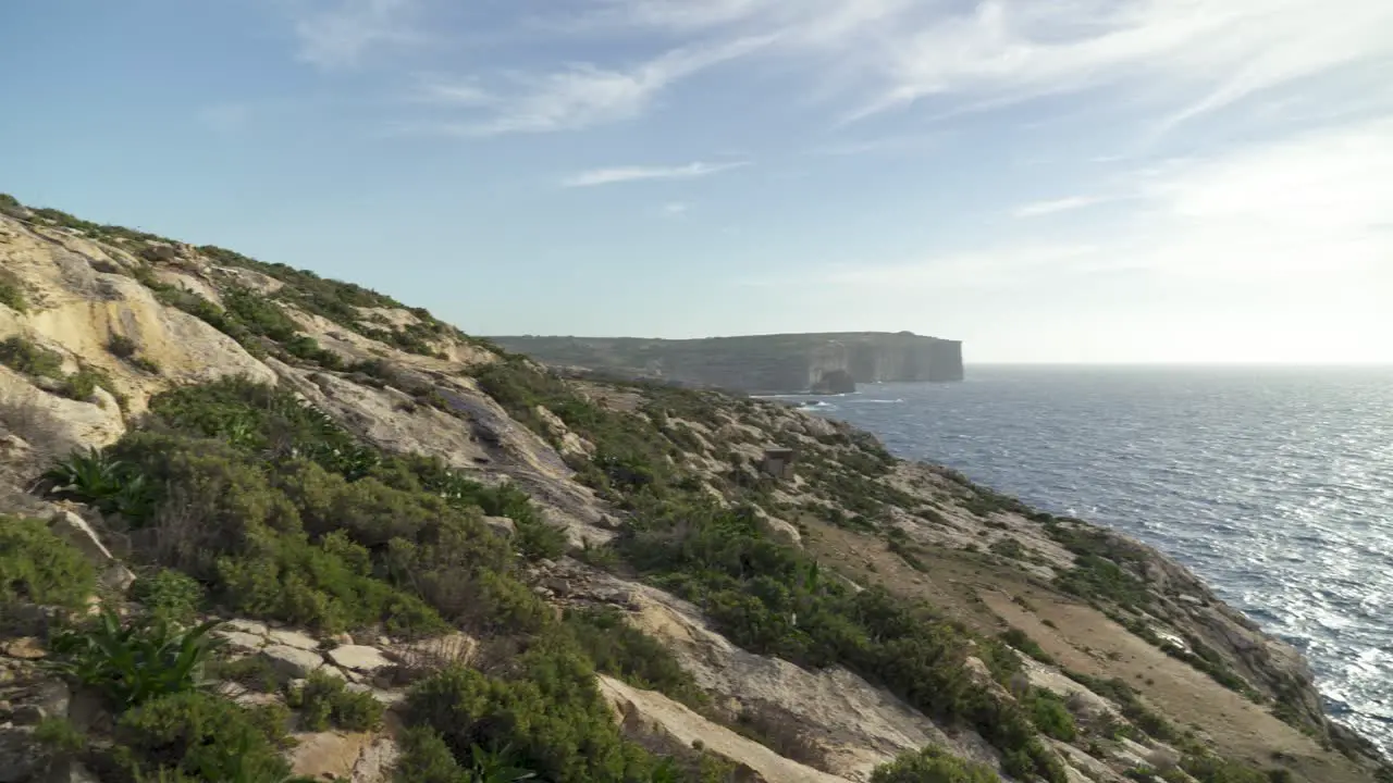 Scarce Greenery Waving in Wind near Coastline of Mediterranean Sea in Gozo Island