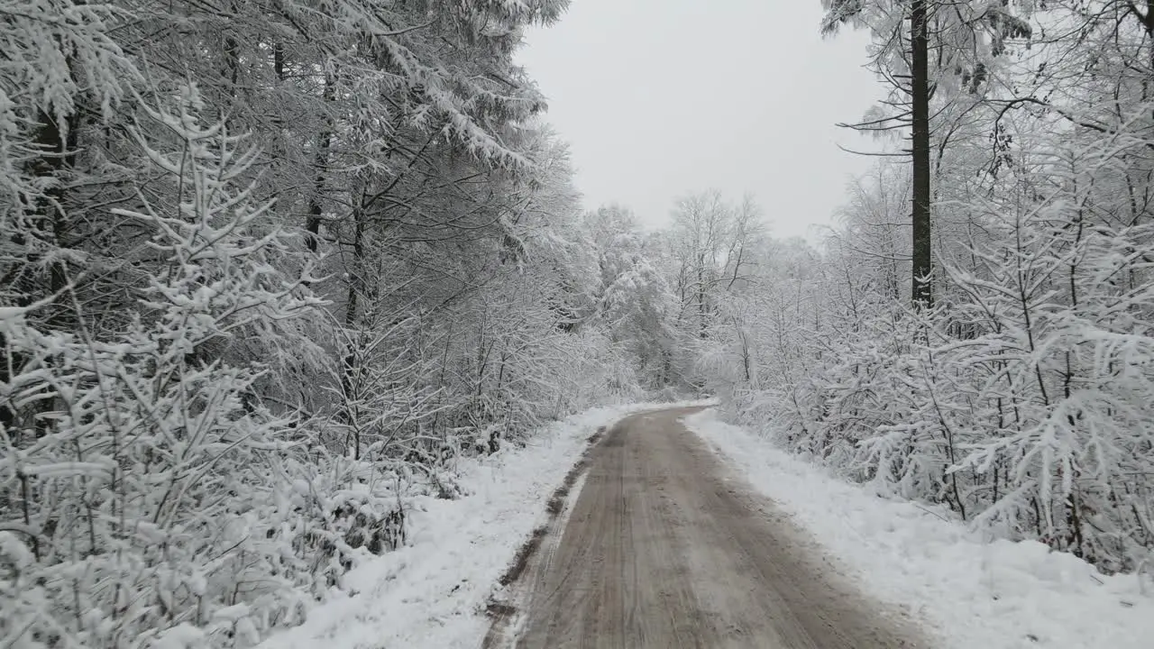 Cleared snow trail middle of nowhere Elblag Poland woods