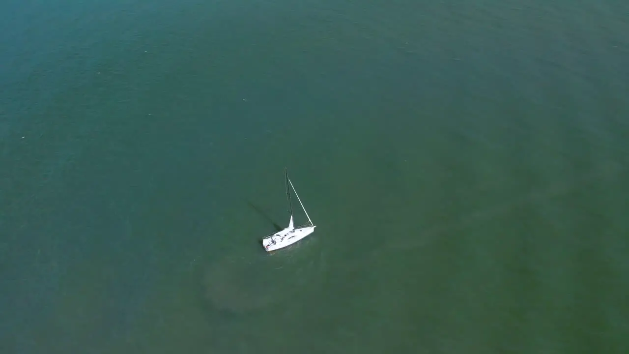 Drone shot of boats in the harbor in Sausalito outside of San Francisco