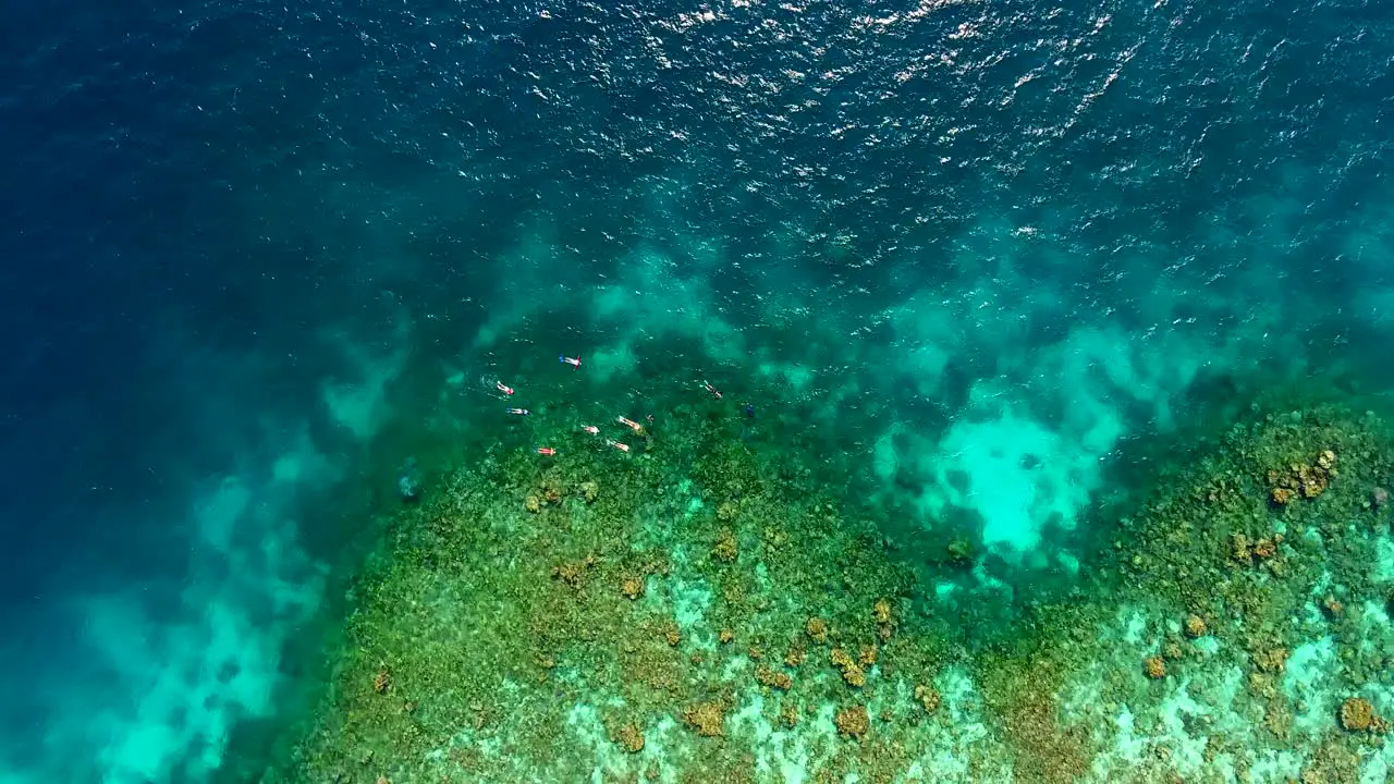 Snorkeling Group in the Beautiful Reefs of the Maldives