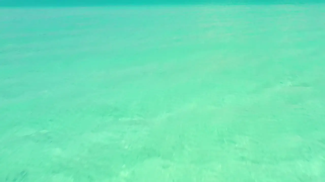 Drone up off of water to reveal beach paradise Exuma Bahamas 4K UHD