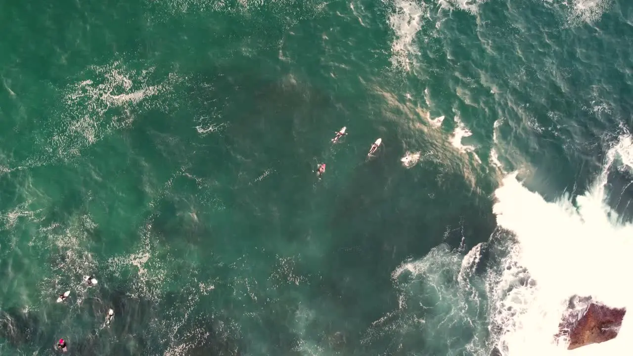 Drone Bird's-eye view shot of coastline Terrigal surfers paddle in line-up The Haven Skillion Central Coast NSW Australia 4K