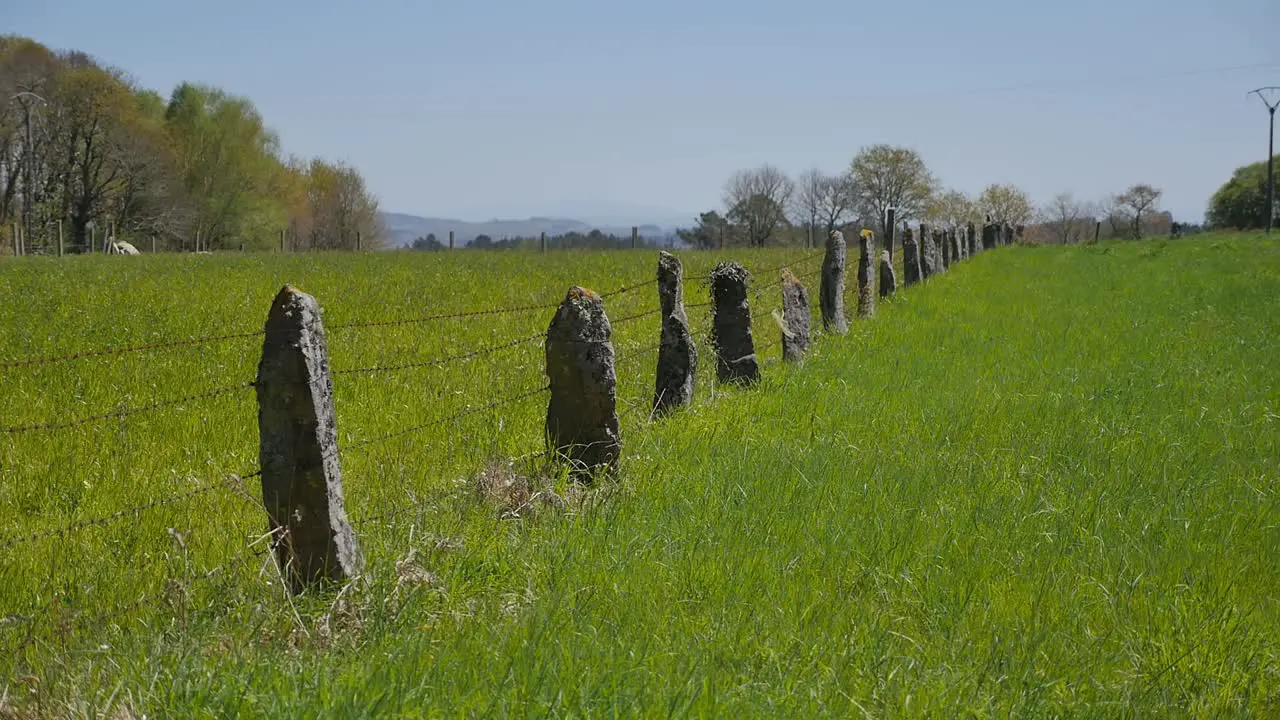 stone fence with barb wire in a green grass field grassy meadow