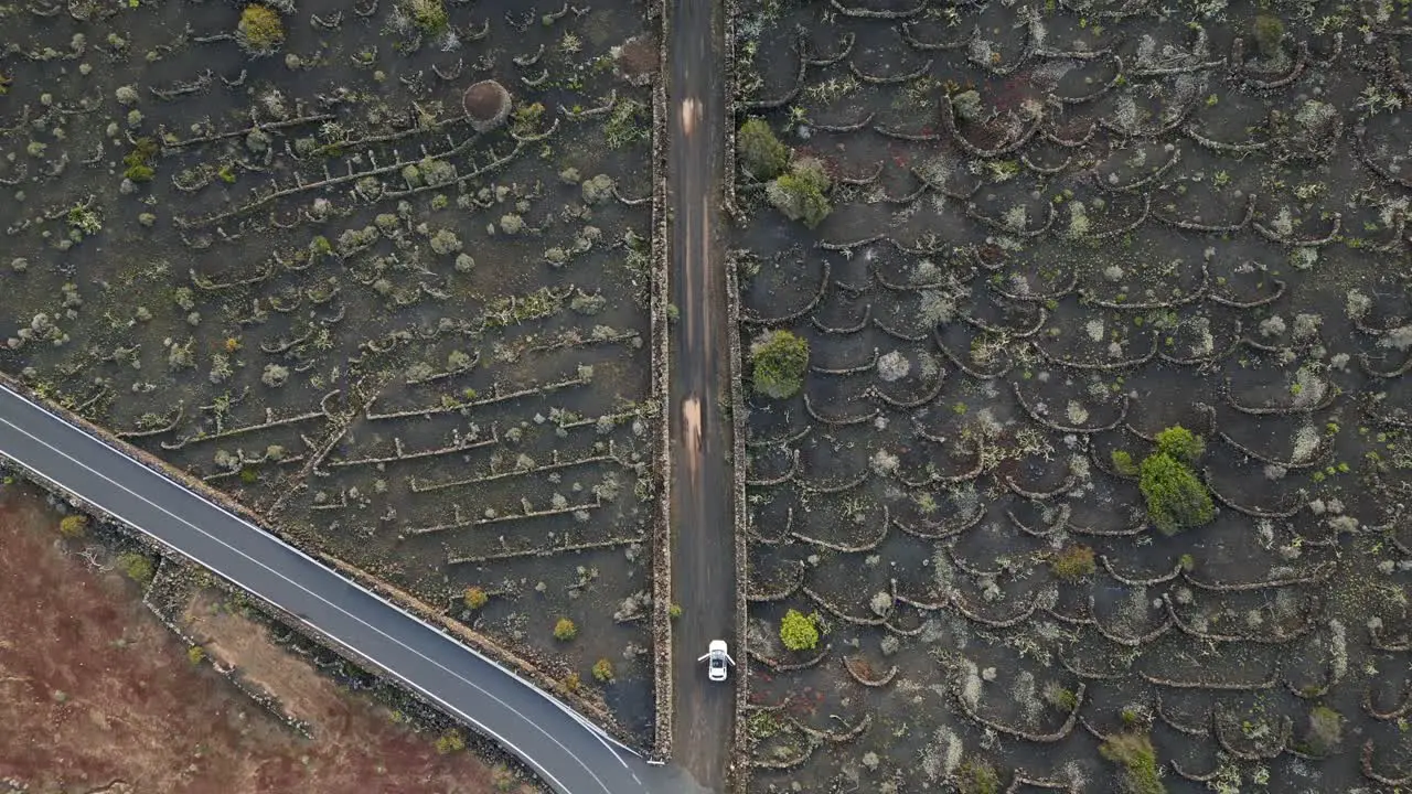 White car parked with open door on black street Best aerial view flight Lanzarote volcano lava field agriculture ash cloudy day 2023