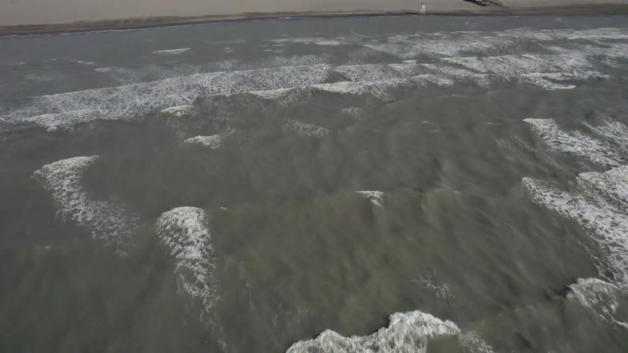 Drone video of the Divjake-Karavasta nature park descriptive panning shot advancing from the shore to the interior of the park crossing the wooded area a watchtower and beach bar can be seen