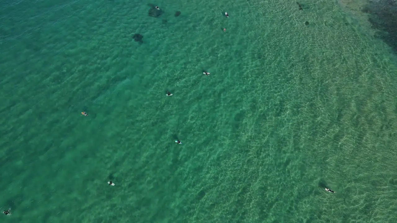 Top View Of Surfers Floating At The Pristine Water Of The Beach In Norries Cove In NSW Australia