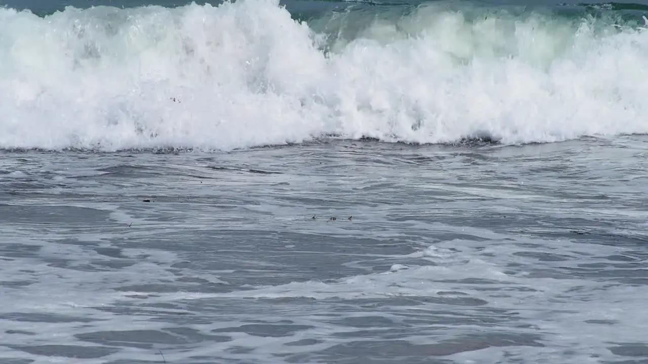 Multiple small reforming waves in white water beach swash