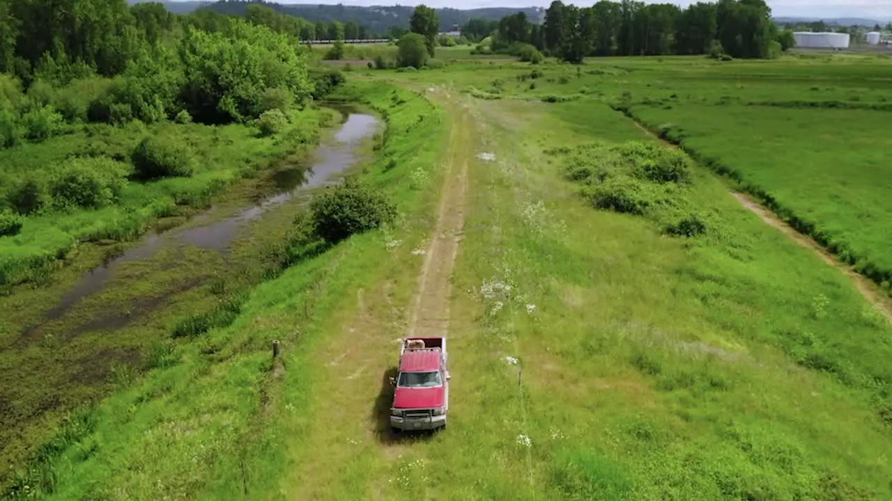 Pickup Truck Driving Through Farm Fields With Dog Riding At The Back