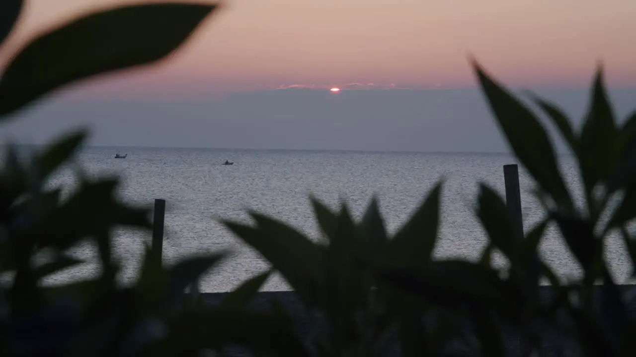 Sunrise ocean horizon close up plants in foreground balcony POV Almeria Spain