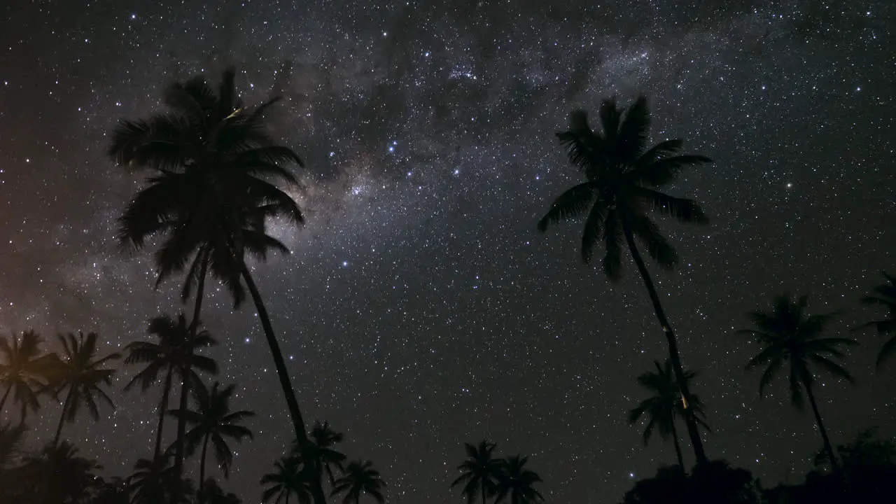 Astro time lapse of stars and Milky Way rotating behind palm trees blowing in wind