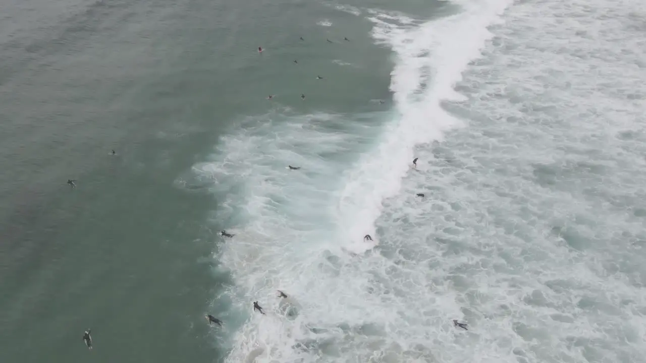 Surfers Lying On Surfboard Paddling On The Foamy Ocean Waves At Summer Bondi Beach In Sydney New South Wales Australia