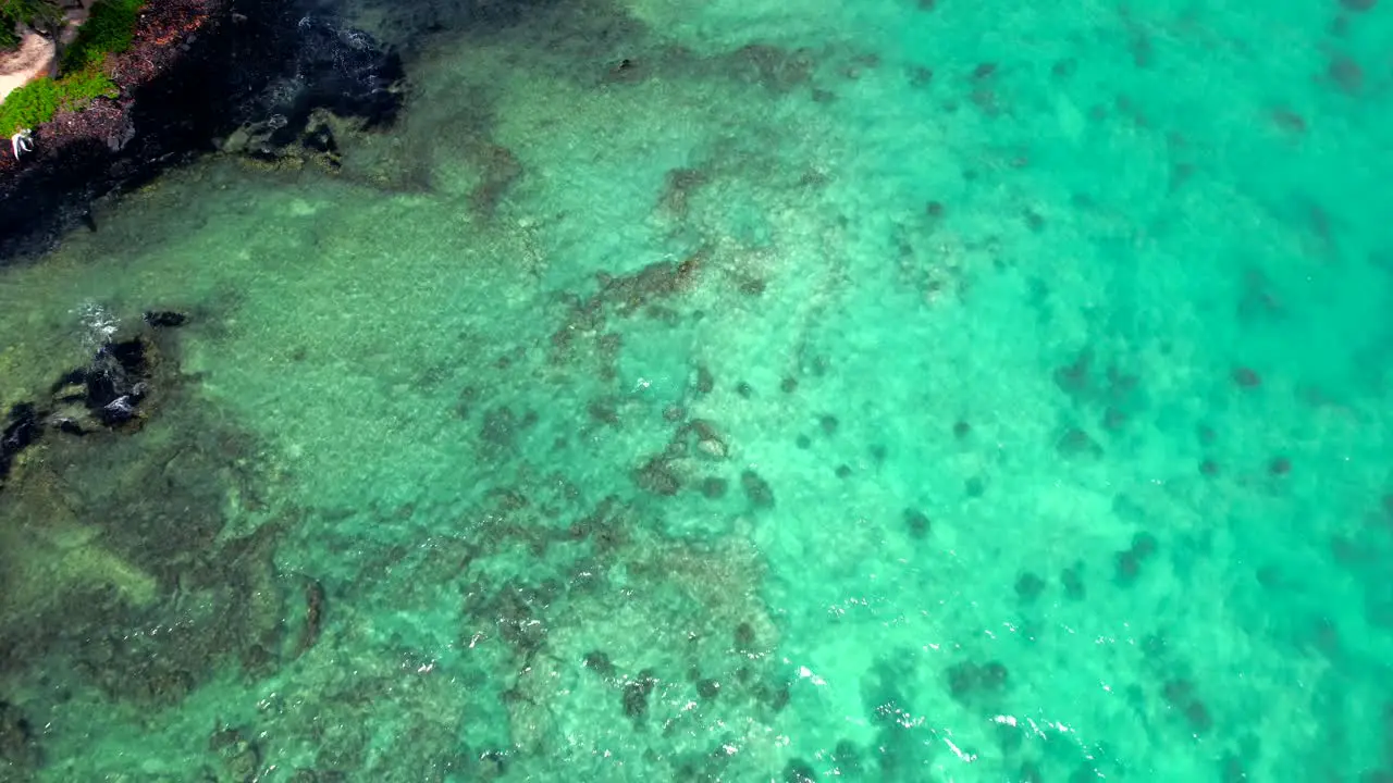 Vibrant turquoise colored ocean in tropical Hawaii drone top down view