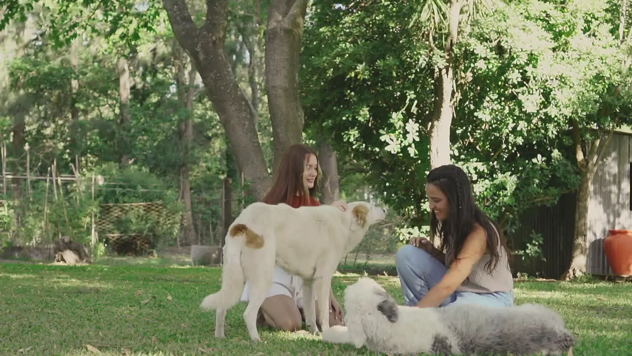 Mujeres Jóvenes Mascotas Perros Al Aire Libre