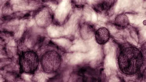 Moléculas De Virus Arn Y Bacterias En Un Proceso Científico