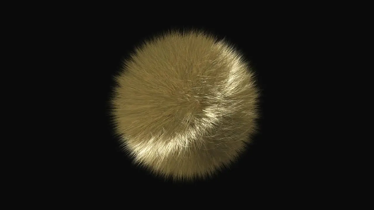 Bristle Sphere Motion Graphic1566