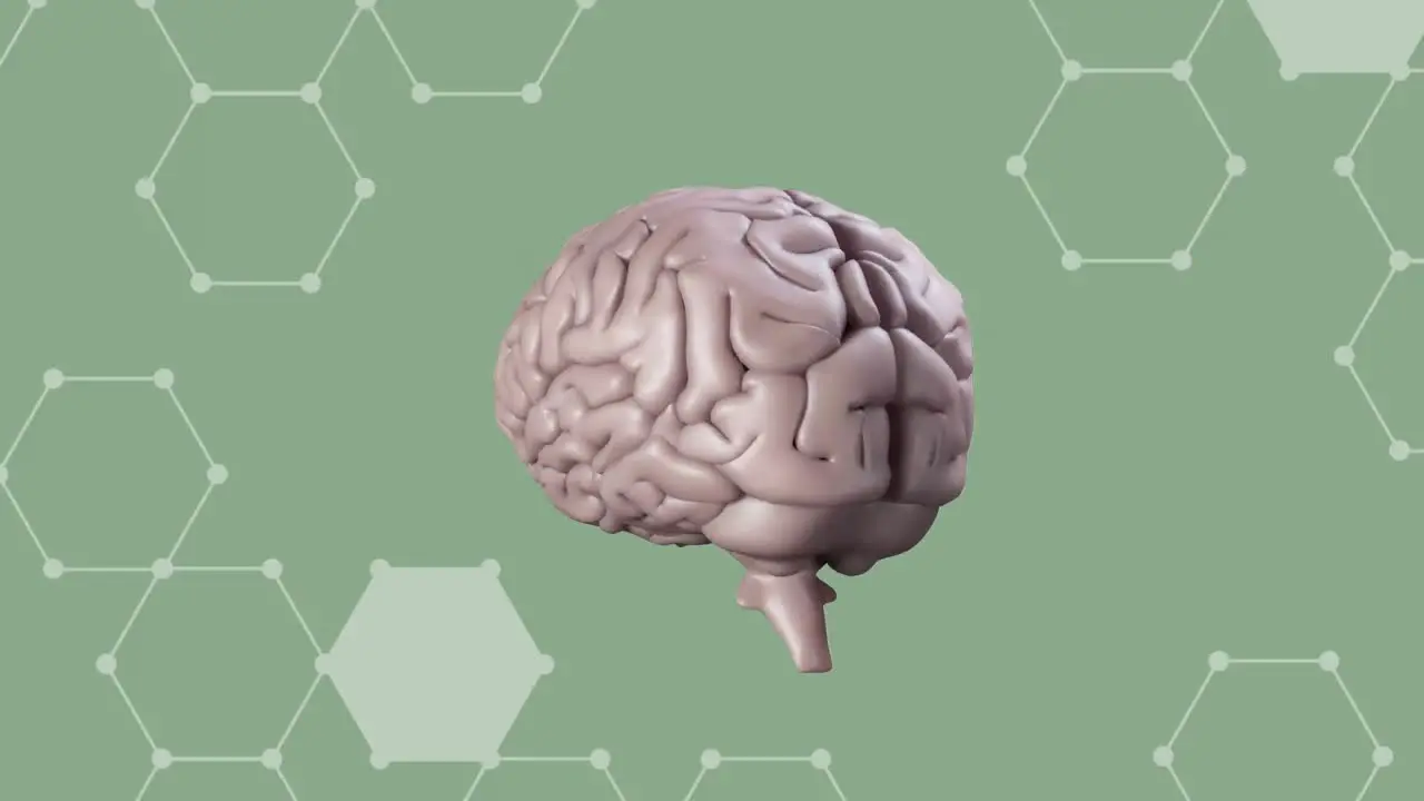  Animation of a human brain rotating on a green background