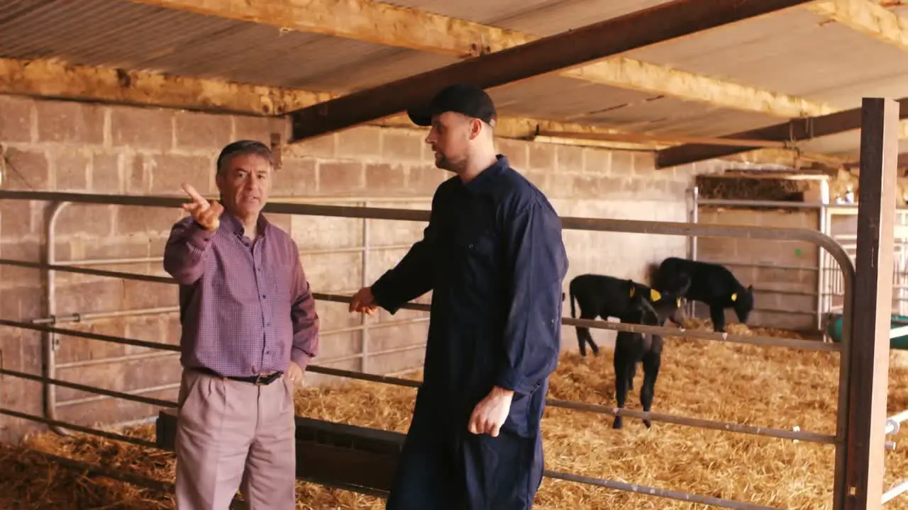 Cattle farmer interacting with a man