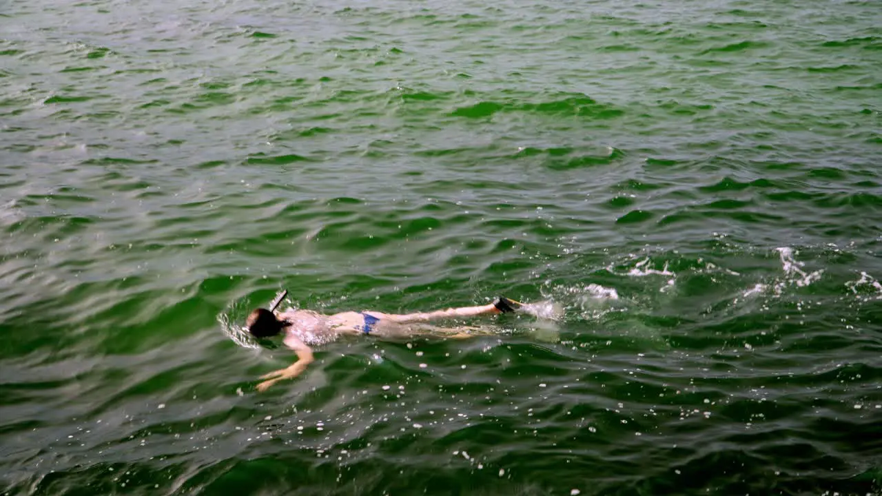 A young tourist woman diving in the sea near de surface in the area of Bombas and Bombinhas beaches Brazil