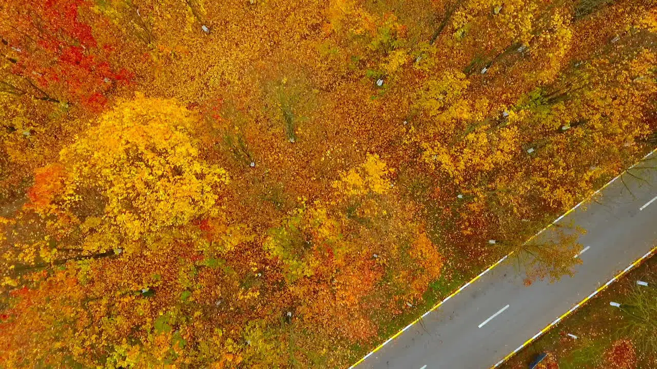 Sky view autumn landscape in city park City road and industrial buildings